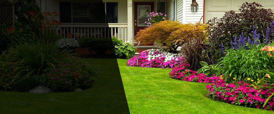 Progreso Landscapers