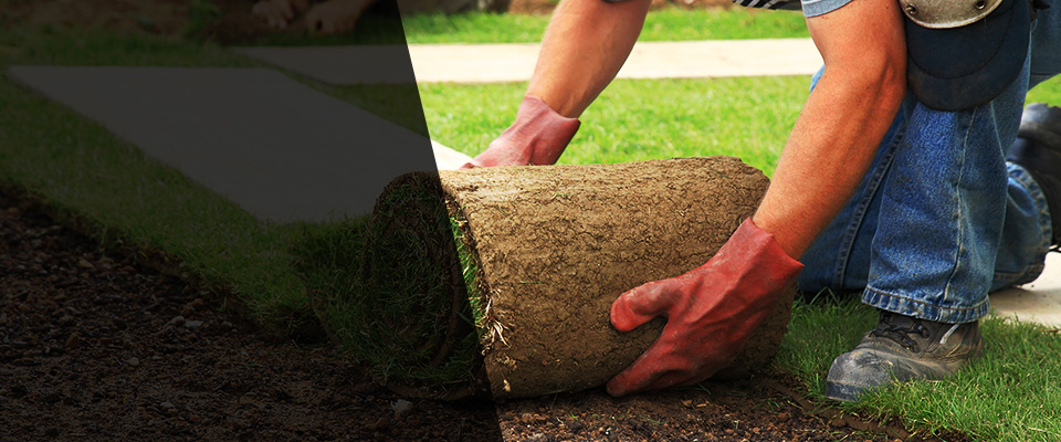 Progreso Landscapers